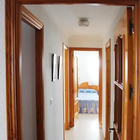 Lavid * コニル・デ・ラ・フロンテラ