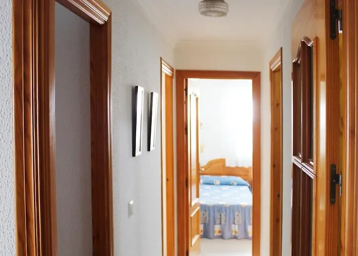 Lavid * コニル・デ・ラ・フロンテラ